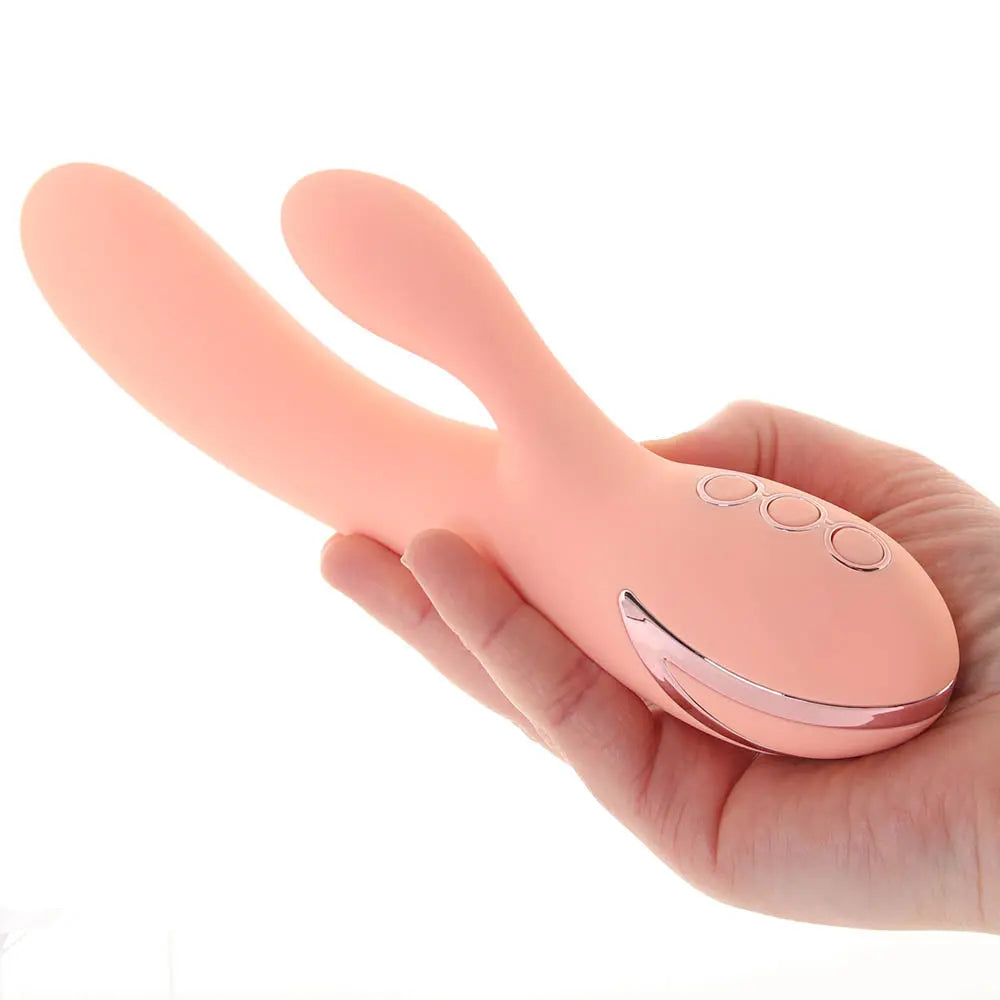 California Dreaming Monterey Magic Rabbit Vibe Calgary Same-Day Delivery CalExotics on hand
