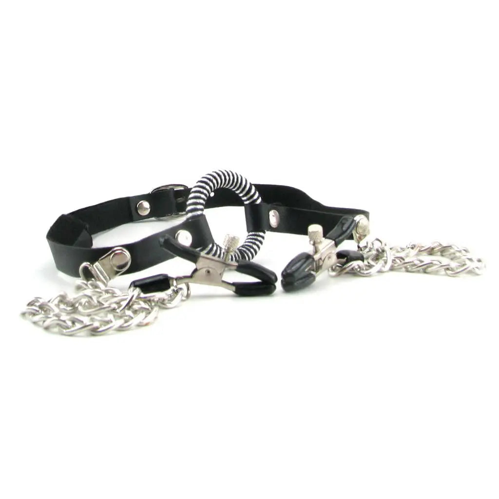 Fetish Fantasy Ltd O-Ring Gag & Nipple Clamps Fetish Fantasy Limited Edition