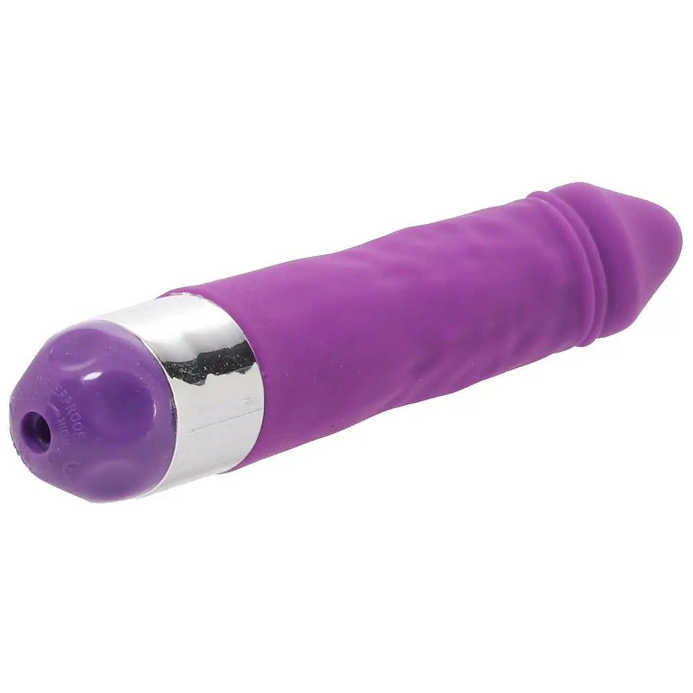 back view Shane's World Silicone Buddy Vibe in Purple | Sex Toys Calgary Same-Day Delivery CalExotics